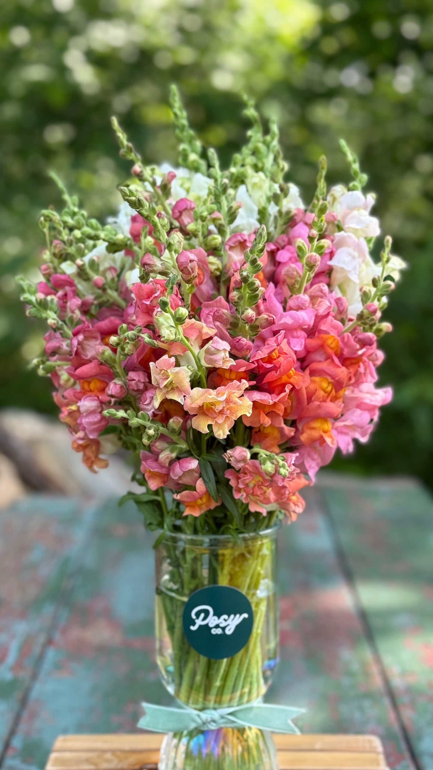 Snapdragon Vase Bouquet Pre-Order