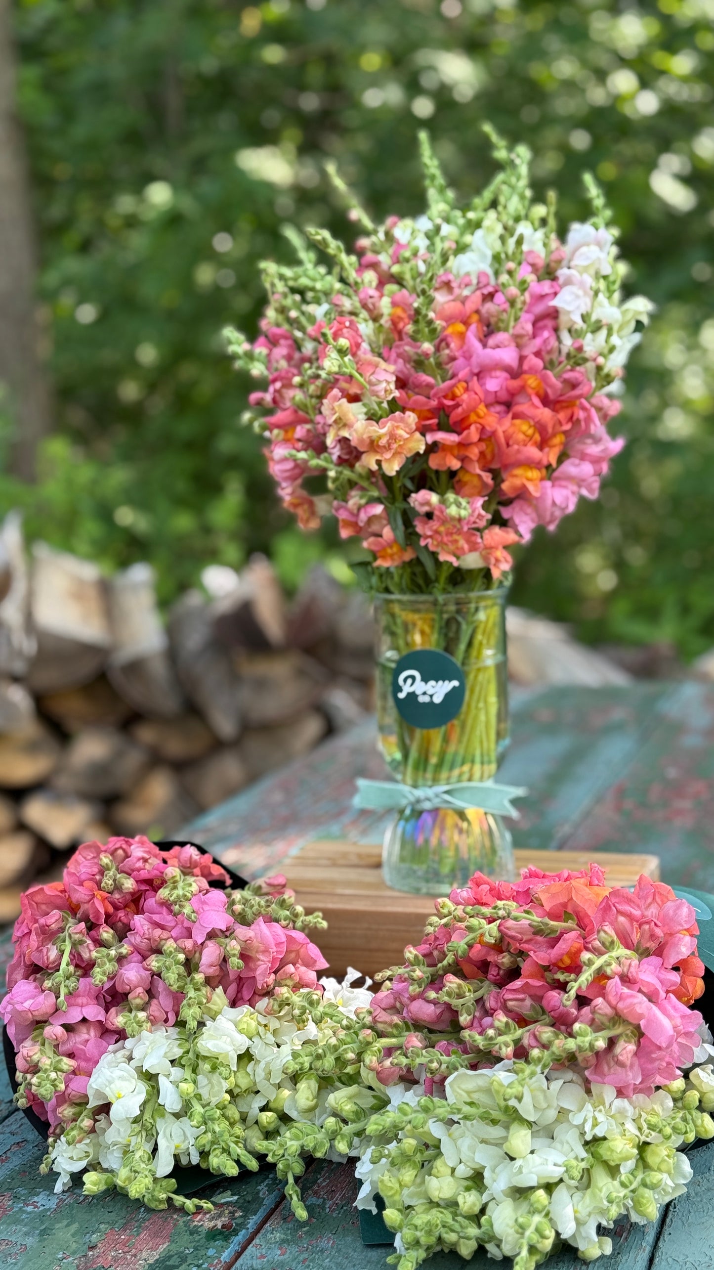 Snapdragon Vase Bouquet Pre-Order