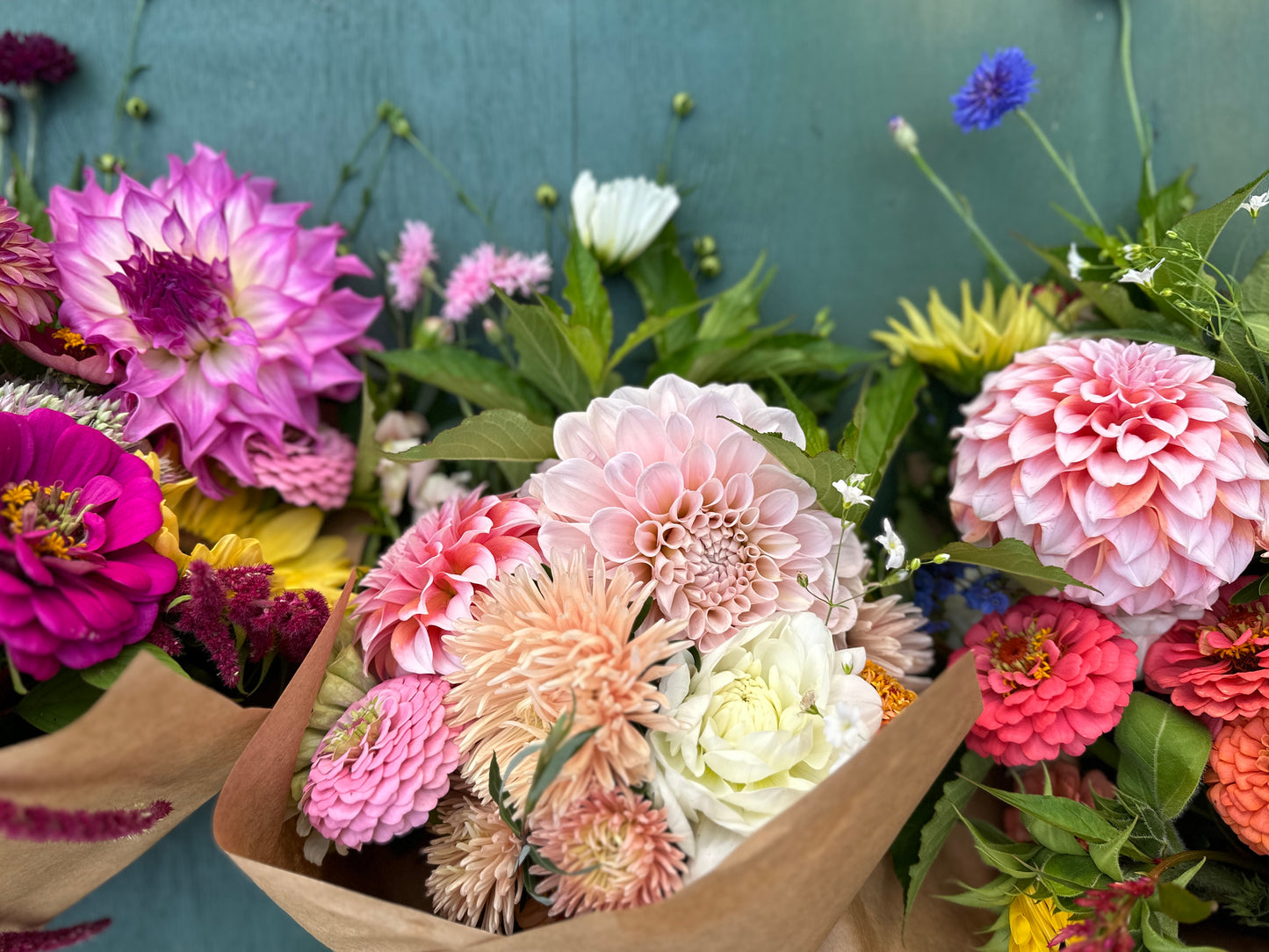 Wrapped Dahlia Mix Bouquet