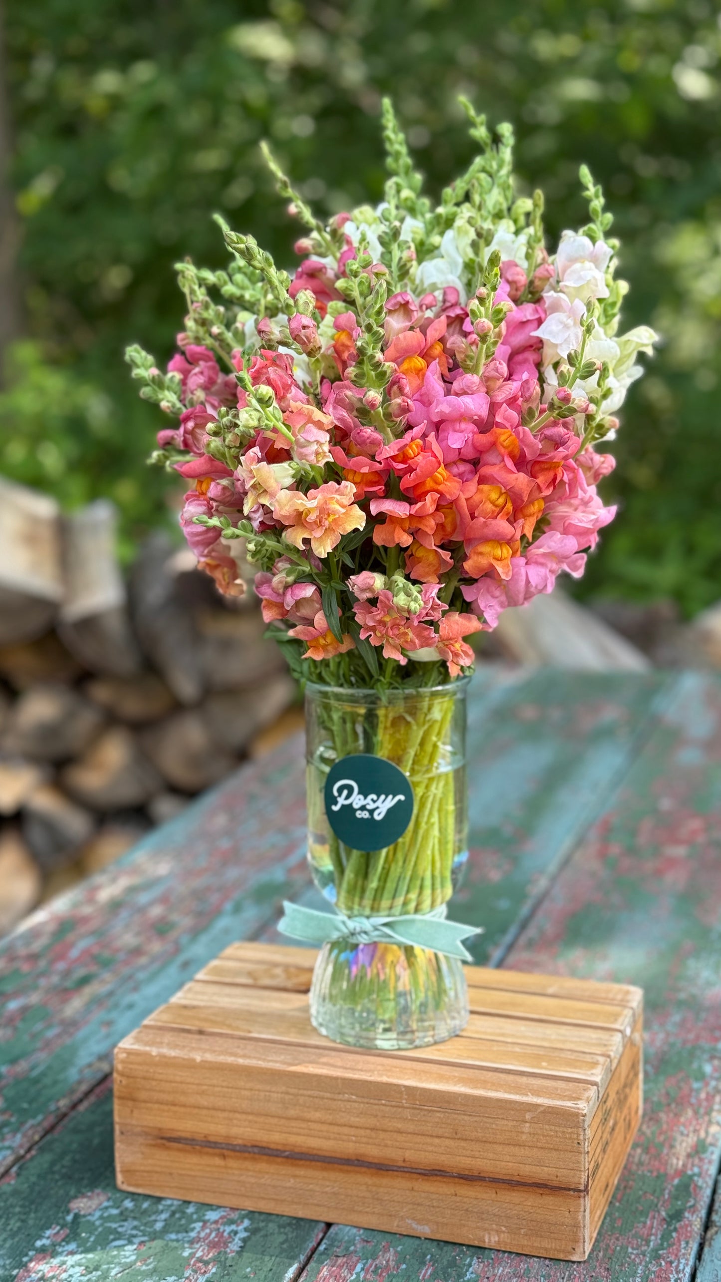 Snapdragon Vase Bouquet Pre-Order
