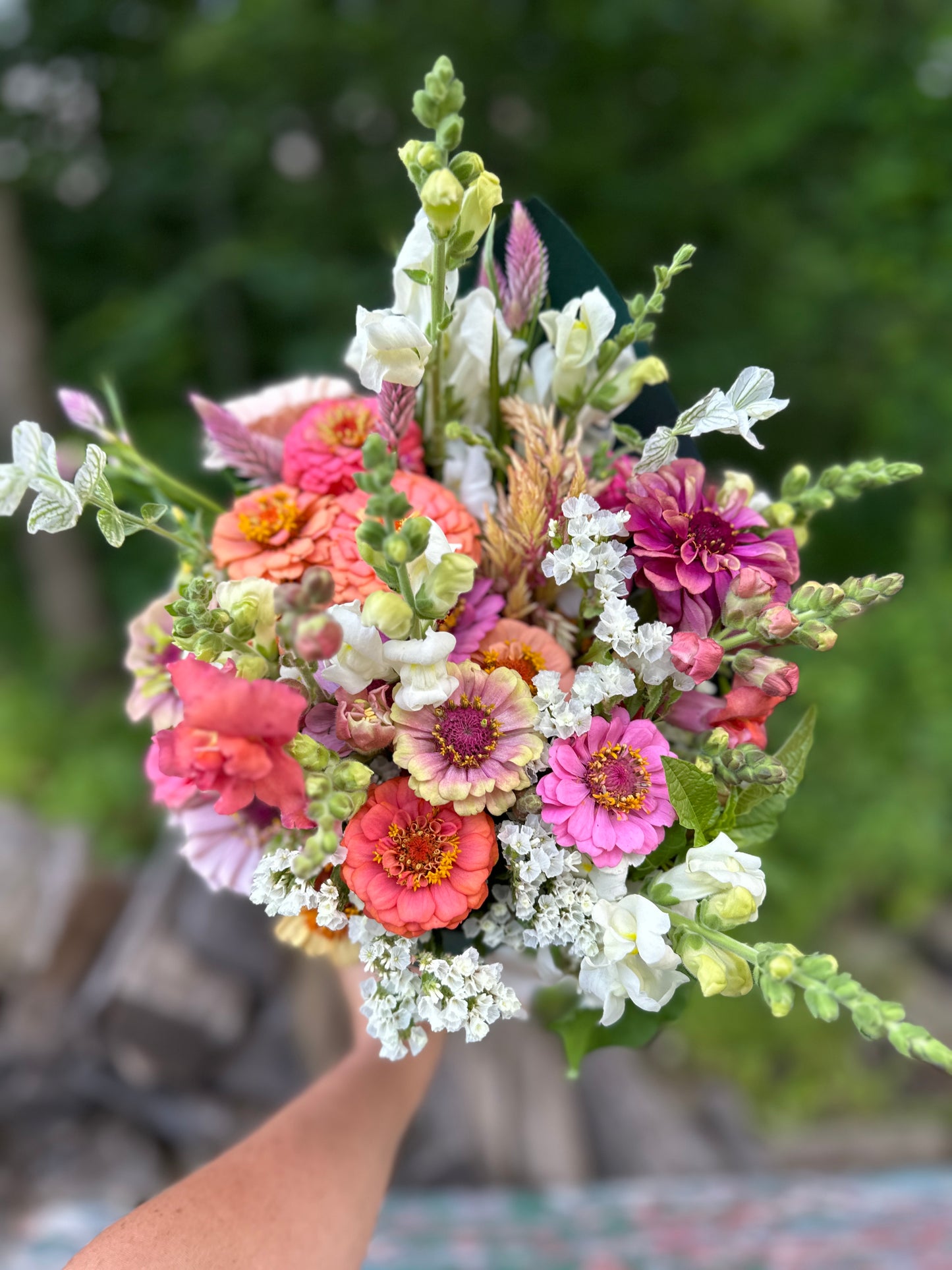 Wrapped Zinnia Mix Bouquet
