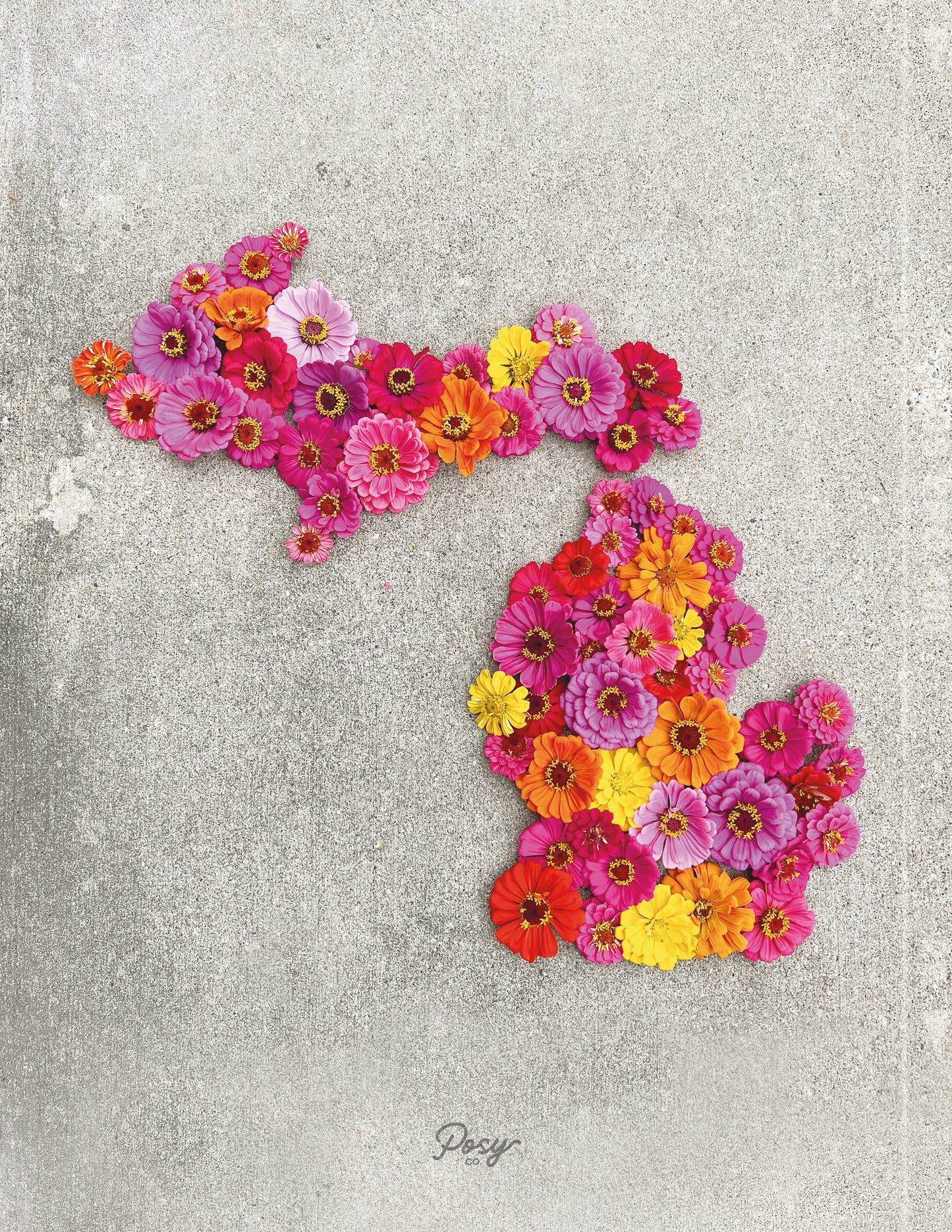 Zinnia Mitten Print