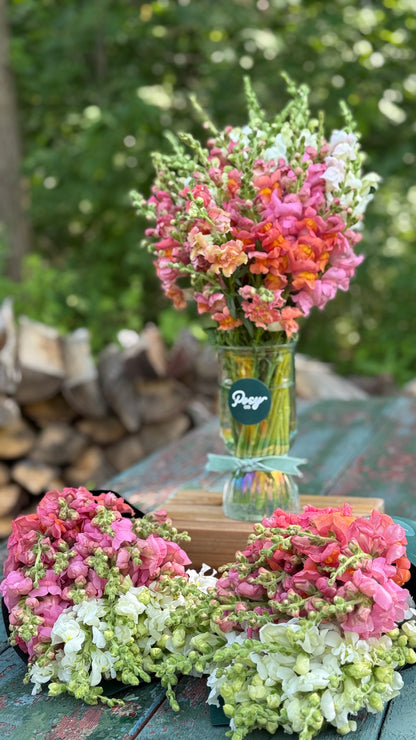 Snapdragon Vase Bouquet Pre-Order