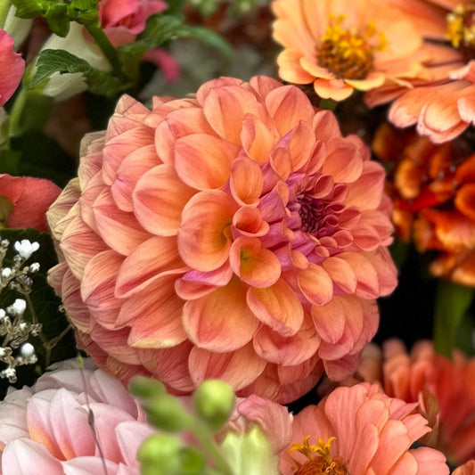 A close-up image of a decorative floral arrangement featuring pink and orange flowers.