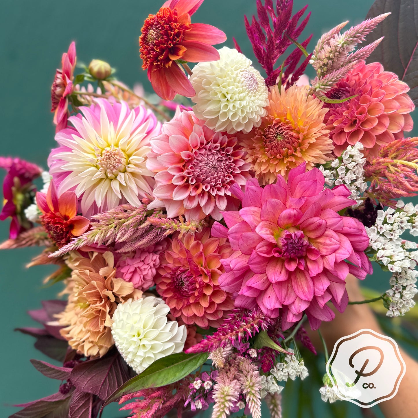 Posy Personal Collection