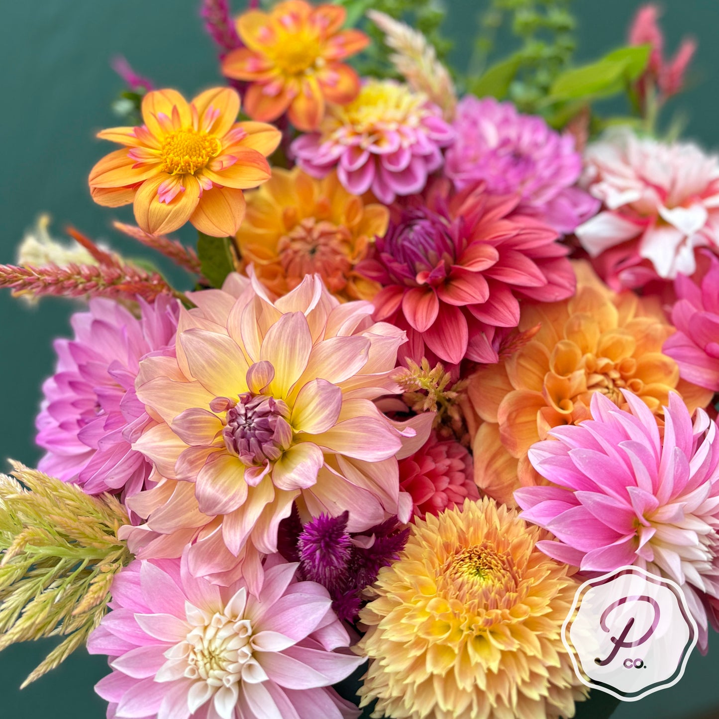 Posy Personal Collection