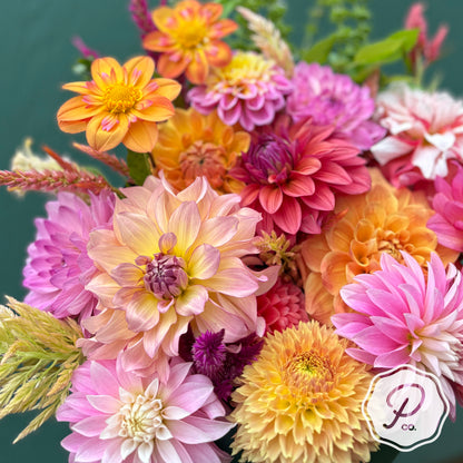 Posy Personal Collection