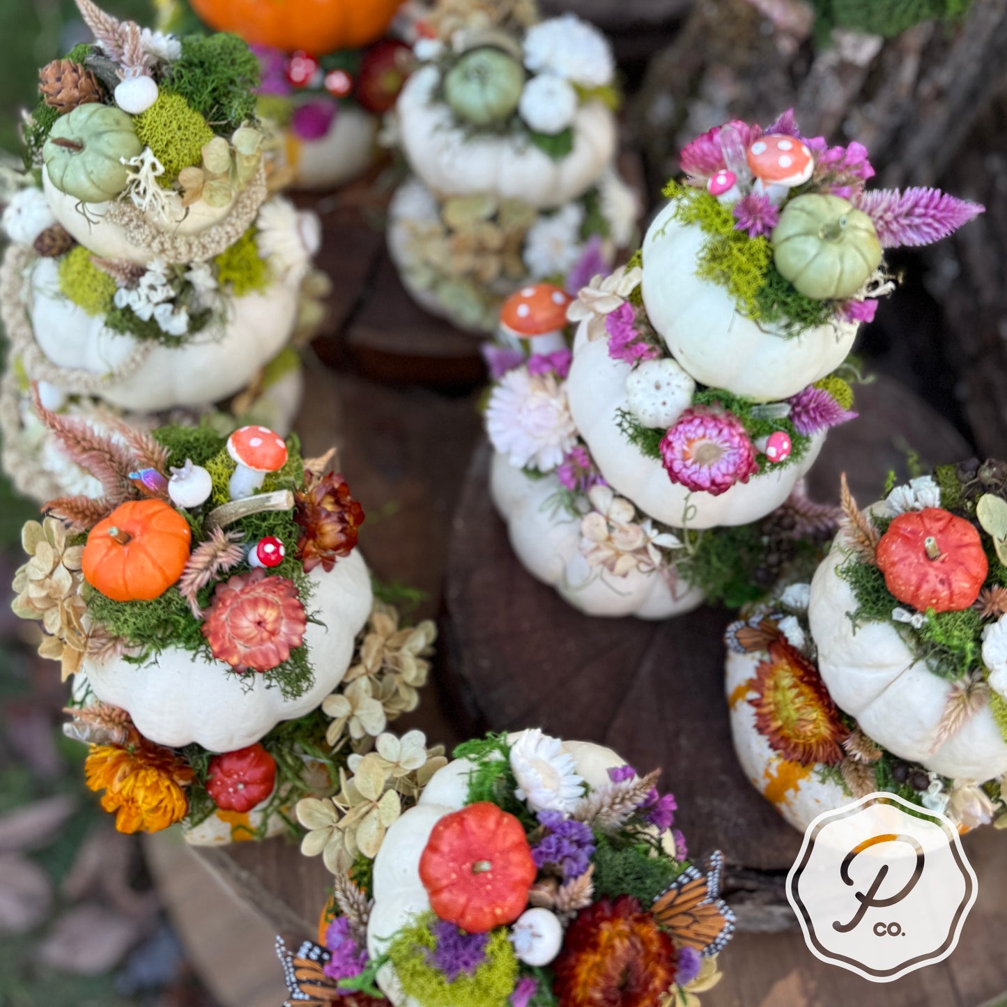Posy Personal Collection
