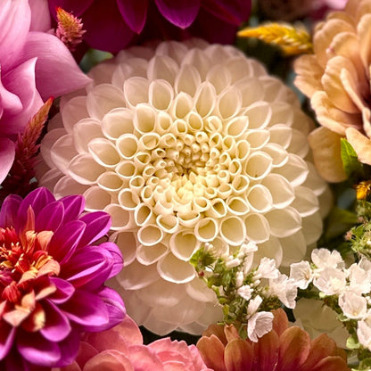 A bouquet of flowers featuring various colors including pink, purple, yellow, and white.