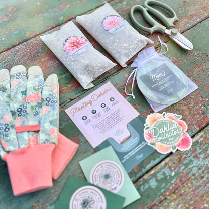 Dahlia planting kit with seed packets, scissors, and instructions on a wooden surface.