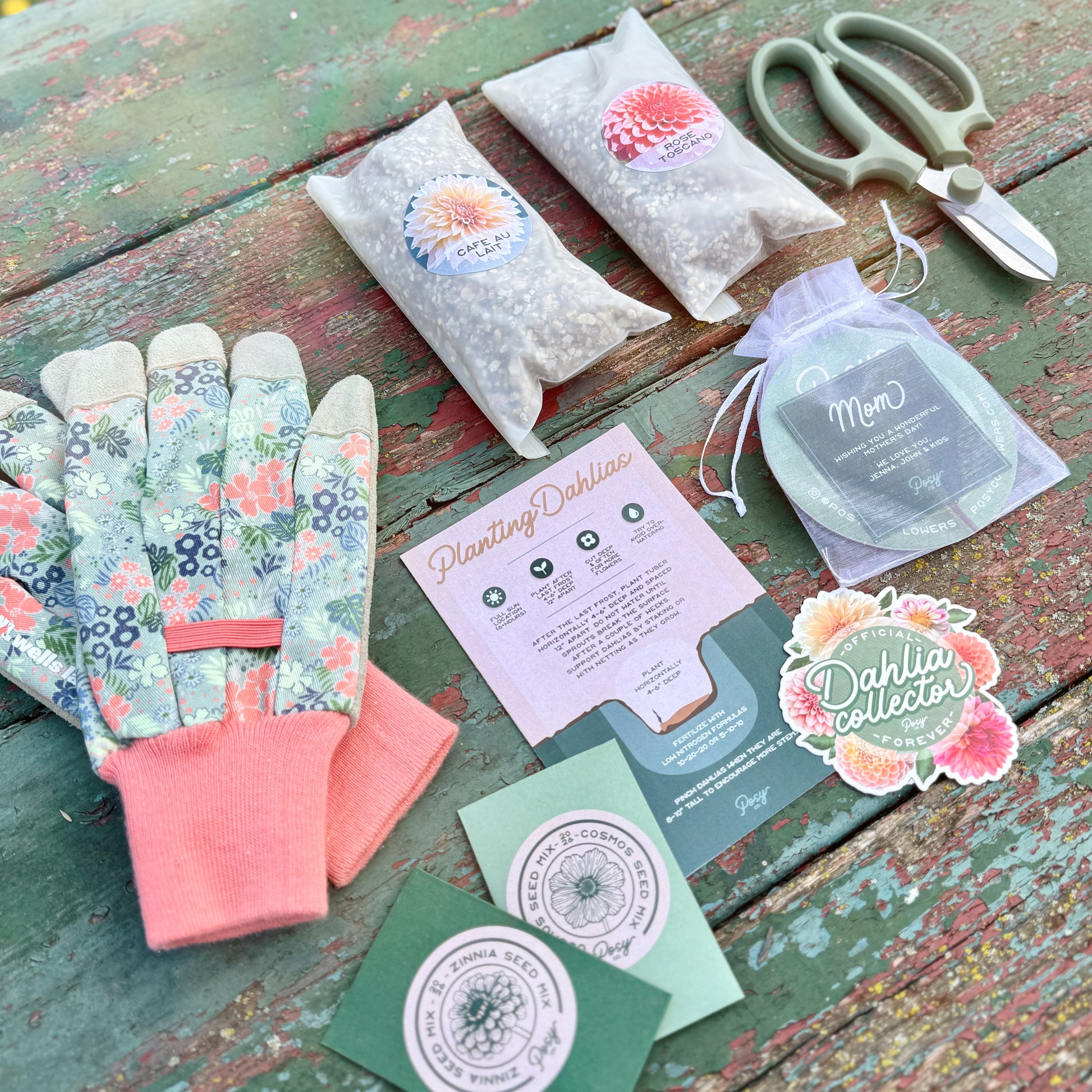 Gardening tools and items including gloves, scissors, and seed packets on a wooden surface. Gift Box content flat lay