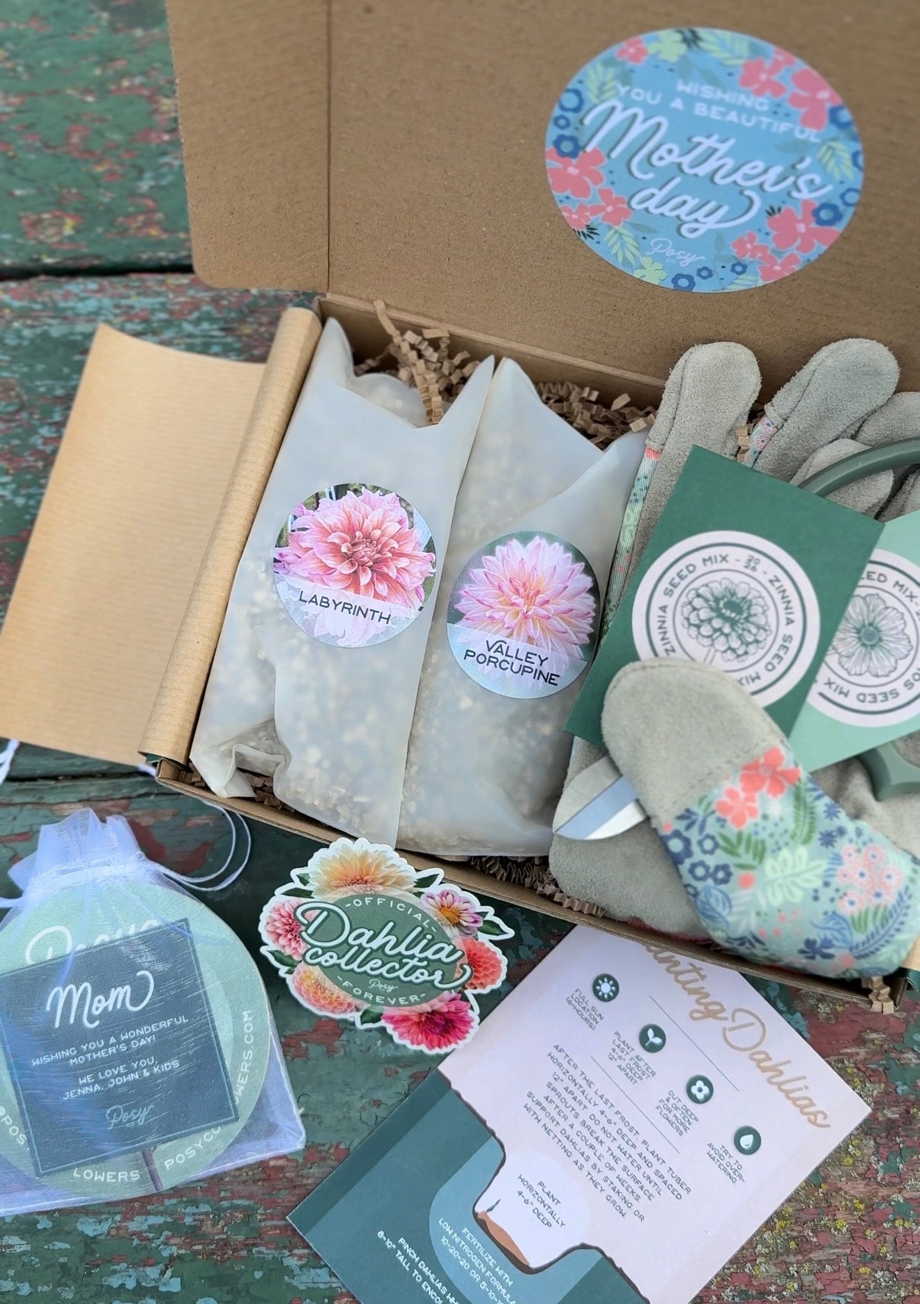 Gardening kit with seed packets, gloves, and promotional materials on a textured surface.
