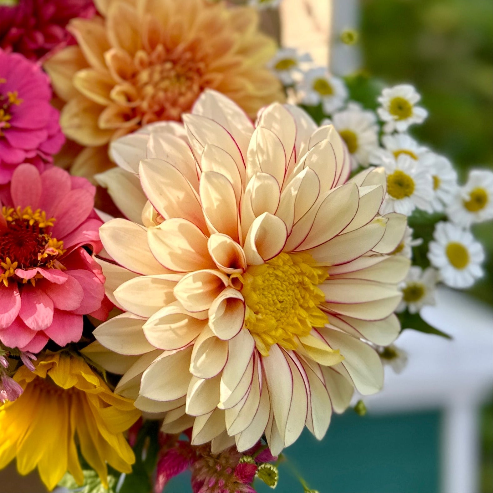 A close-up of a bouquet with a light blend colored flower having a yellow center, surrounded by pink and white flowers.