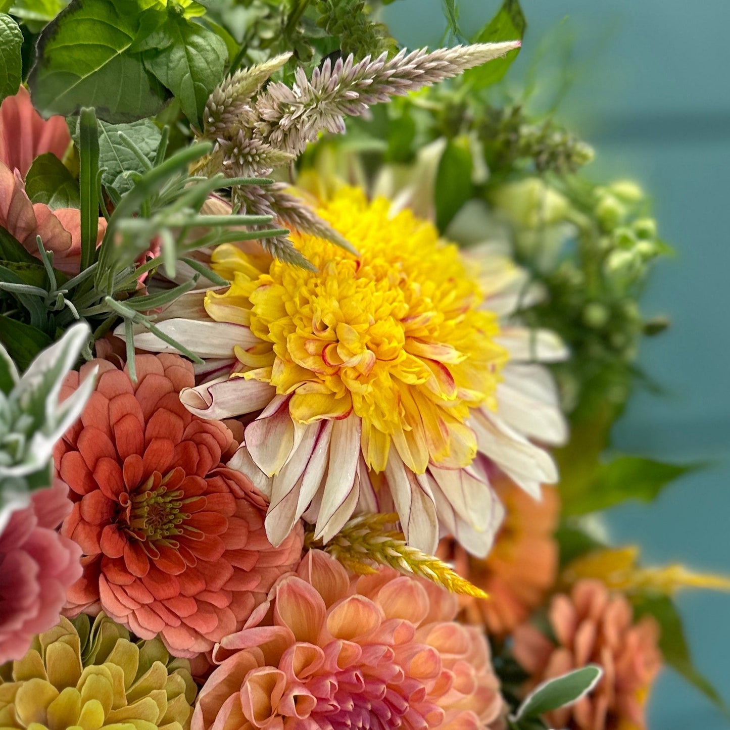 Flowers close up in a bouquet