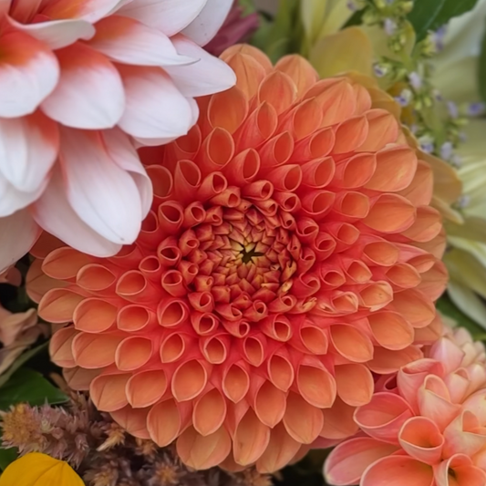 A floral arrangement featuring a prominently displayed bronze-colored floral ball with other white and pink flowers in the background.